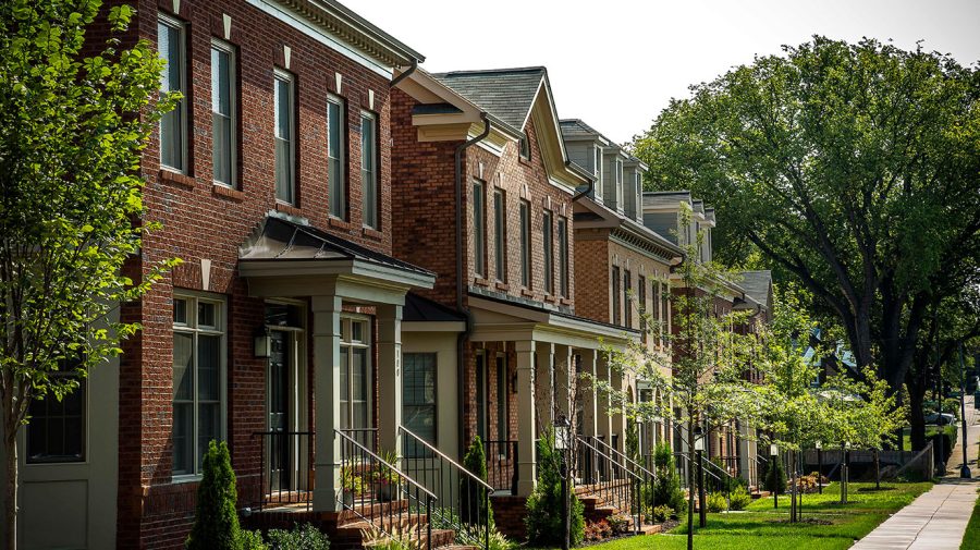 Legacy Grid – The Hampshires